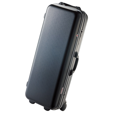 Saxophones Cases
